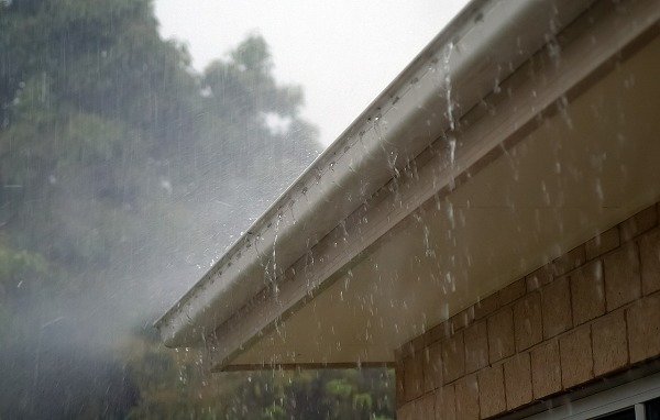 Signs of Significant Drainage Issues