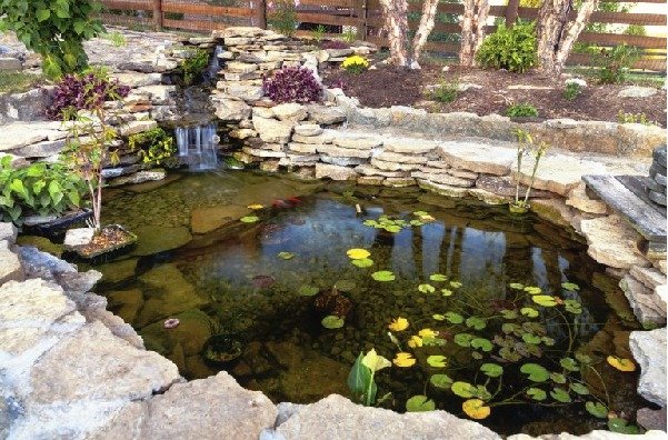 Hardscape Features to Improve the Look of Your Outdoor Landscape