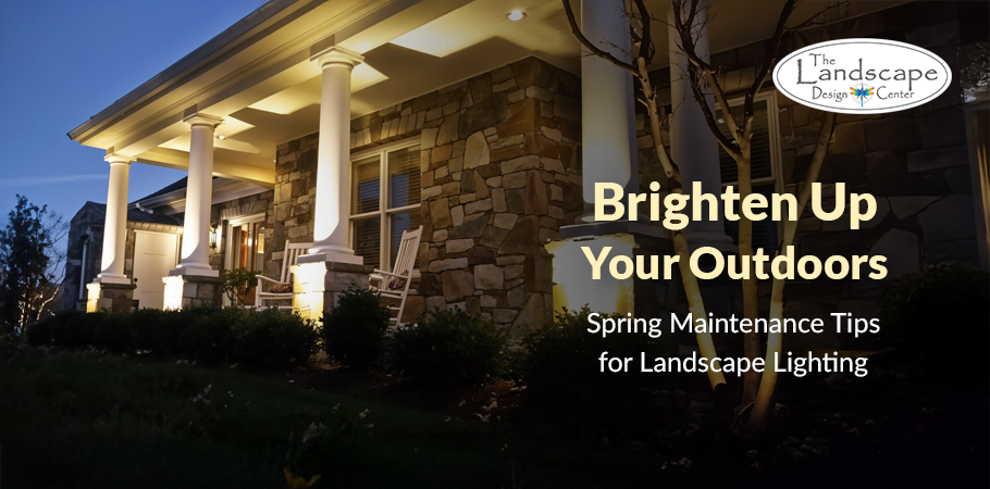 Trust The Landscape Design Center for elegant and efficient landscape lighting.
