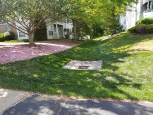 Drainage Systems The Landscape Design Center