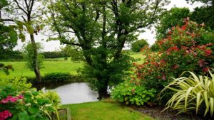 Why Install a Backyard Pond During Fall