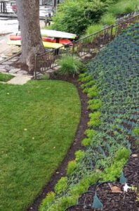 Benefits You Get With a Rain Garden