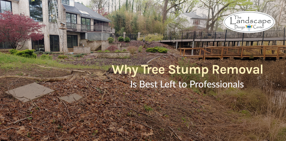 Choose The Landscape Design Center for hassle-free tree stump removal.
