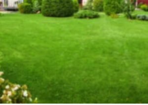 Landscape Design Center Landscape Tips