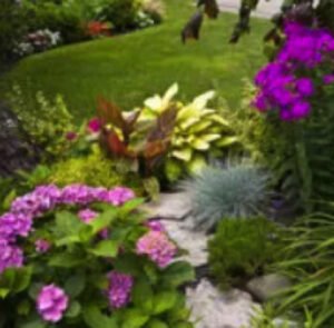 Landscape Design Center Garden