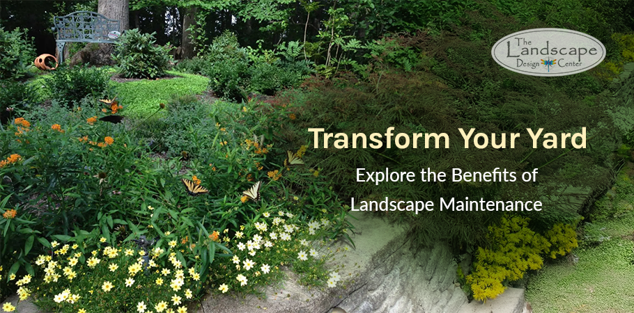 Transform your outdoor space with expert landscape maintenance from The Landscape Design Center.