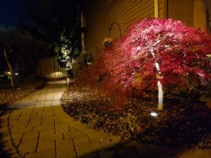 Landscape Lighting