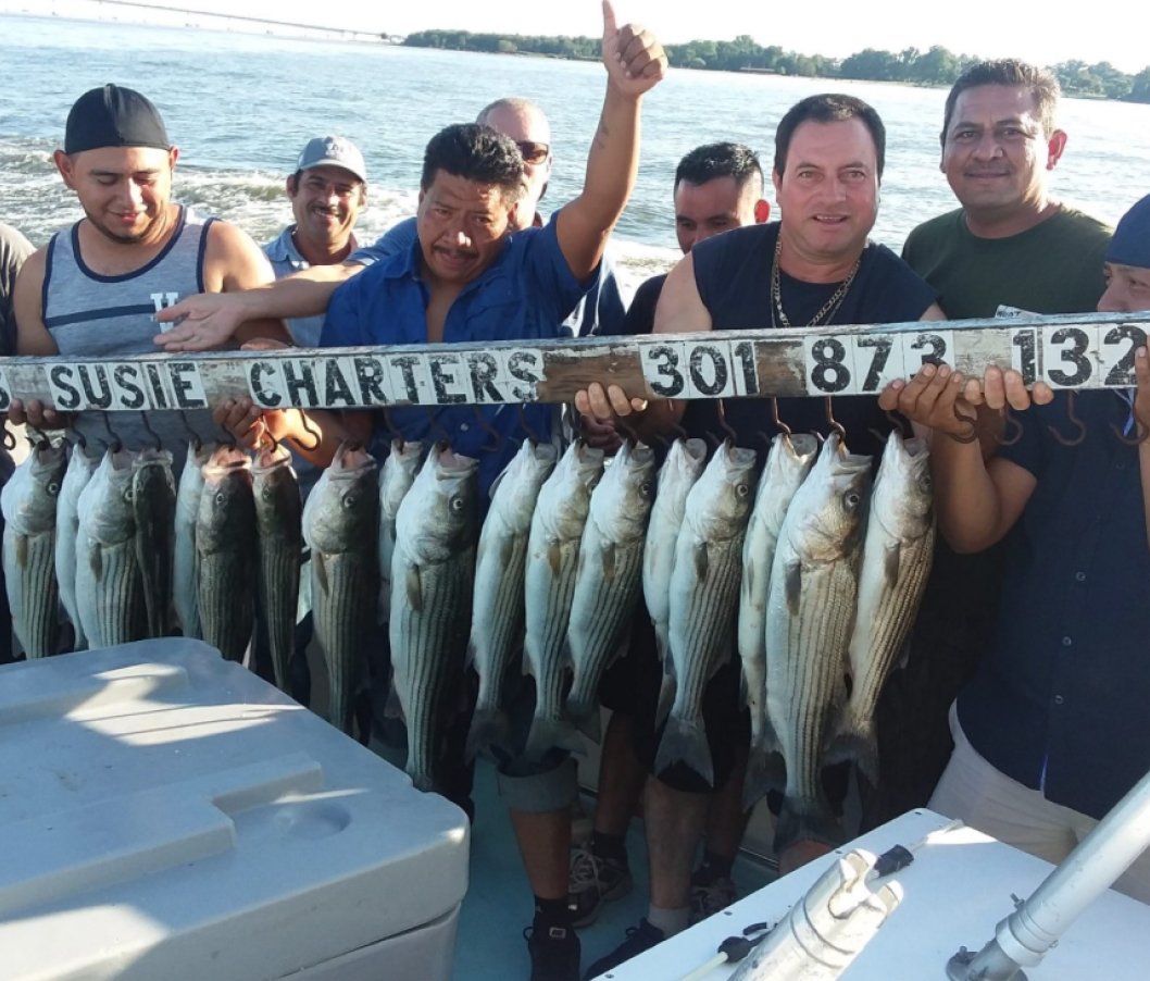 The Landscape Design Center Team