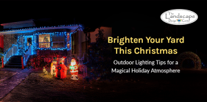 Light up your Christmas with The Landscape Design Center, serving Maryland and beyond.