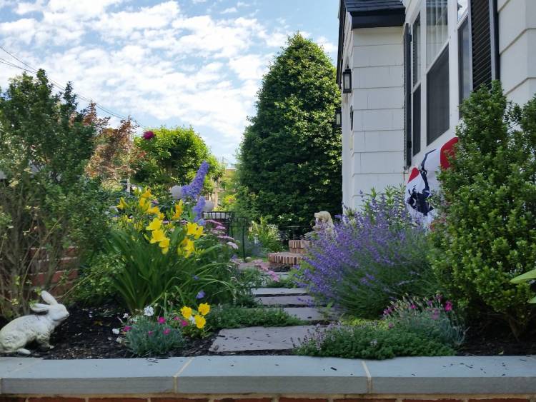 Why Choose Us for Your Landscaping Needs?