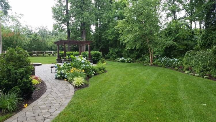 Why Choose Us for Your Landscaping Needs?