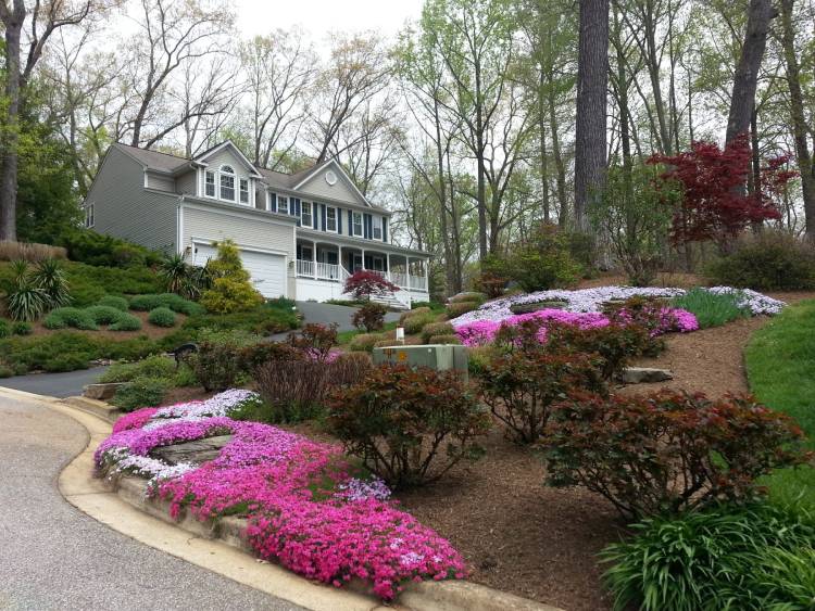 Why Choose Us for Your Landscaping Needs?
