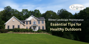 Keep your yard winter-ready with expert landscape maintenance from The Landscape Design Center.