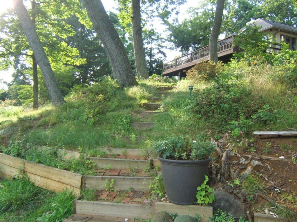 Before Jute Log Installation