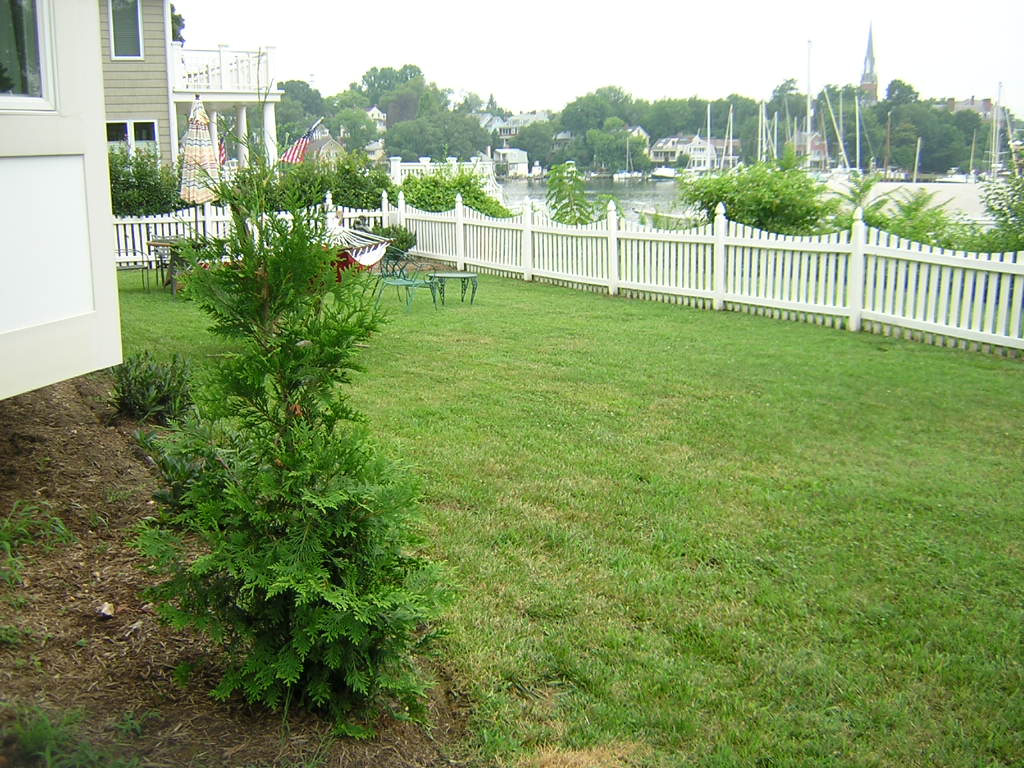 Before Lawn Maintenance Services