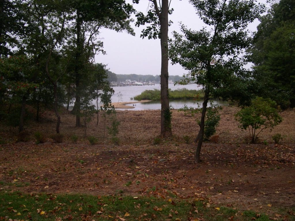 Waterfront Landscaping Services