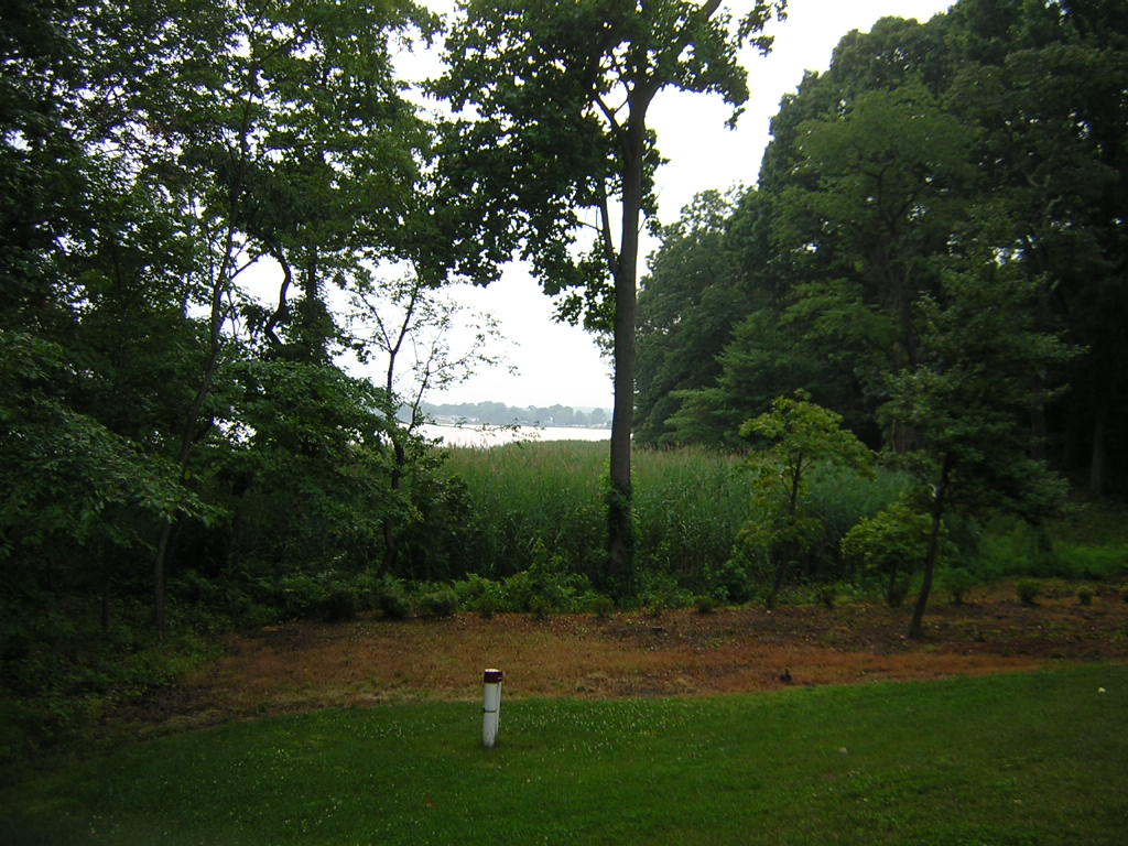 Before Landscaping Services