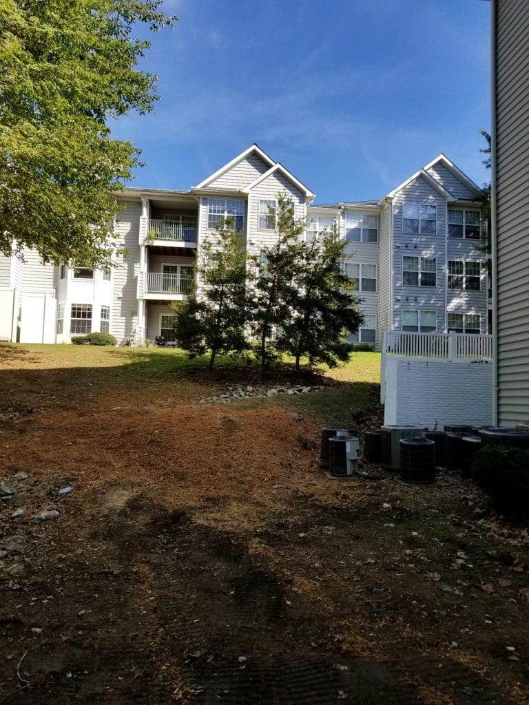 Area before Drainage services