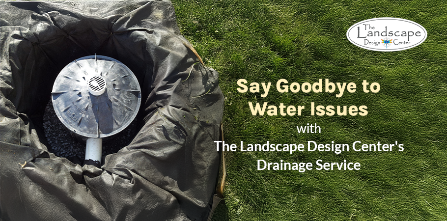 Tackle winter rain with expert drainage solutions by The Landscape Design Center.