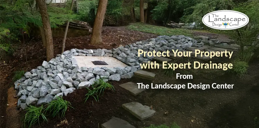Keep your yard flood-free with professional drainage and grading by TheLandscape Design Center!
