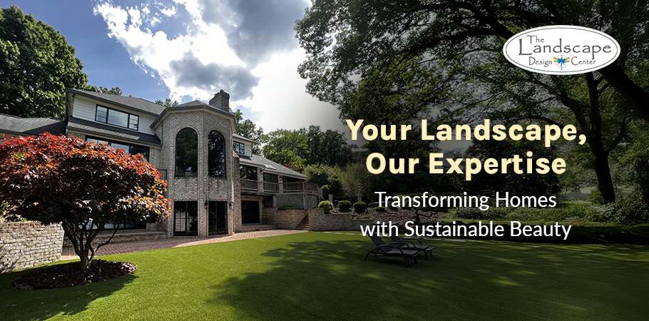 Let The Landscape Design Center craft a Pollinator-Friendly Garden that thrives season after season.