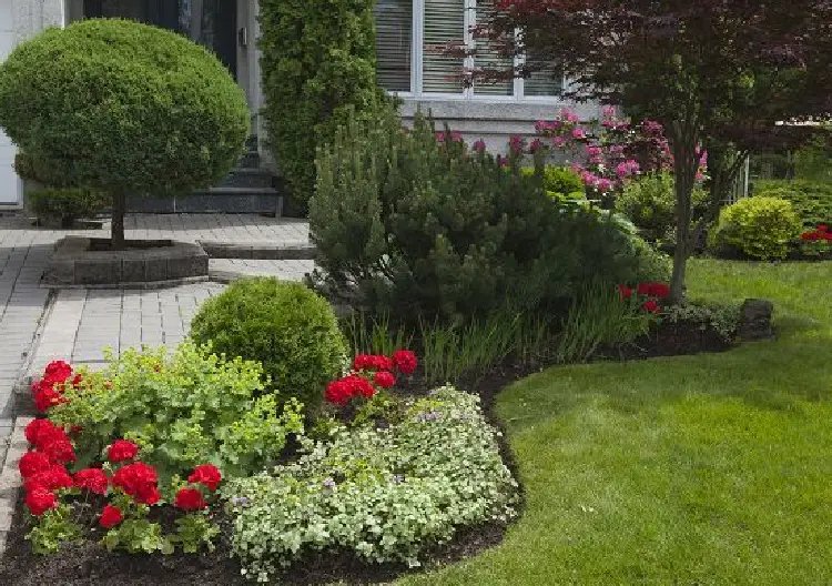 Clean and Defined Garden Beds for a Polished Landscape