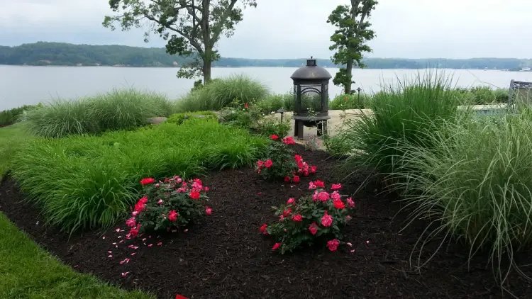 Landscape contractors in Gibson Island