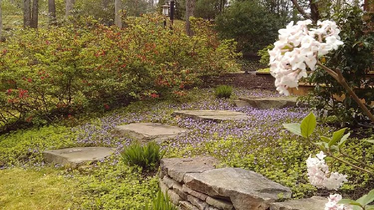 Landscape Services in Gambrills