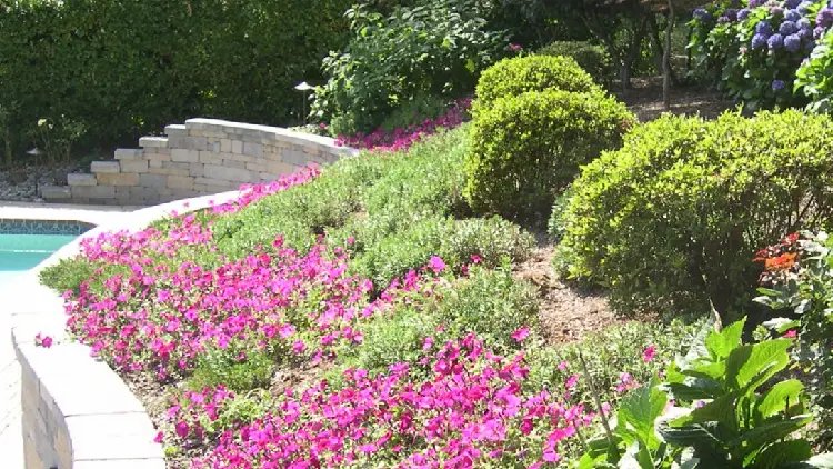 Landscape contractors in Herald Harbor