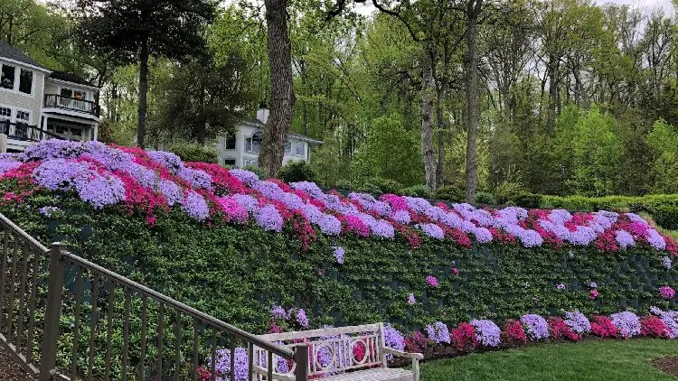 Landscape contractors in Mayo