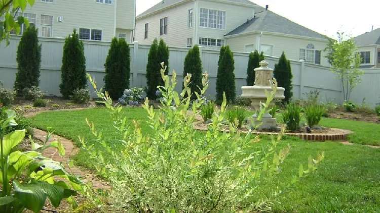 Landscaping Services in Shady Side