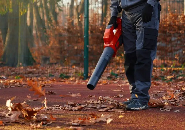 Storm Clean-Up Services