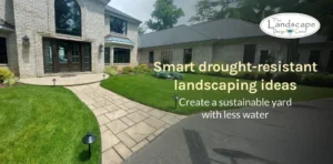 Create a sustainable yard with professional drought-resistant landscaping ideas from The Landscape Design Center.